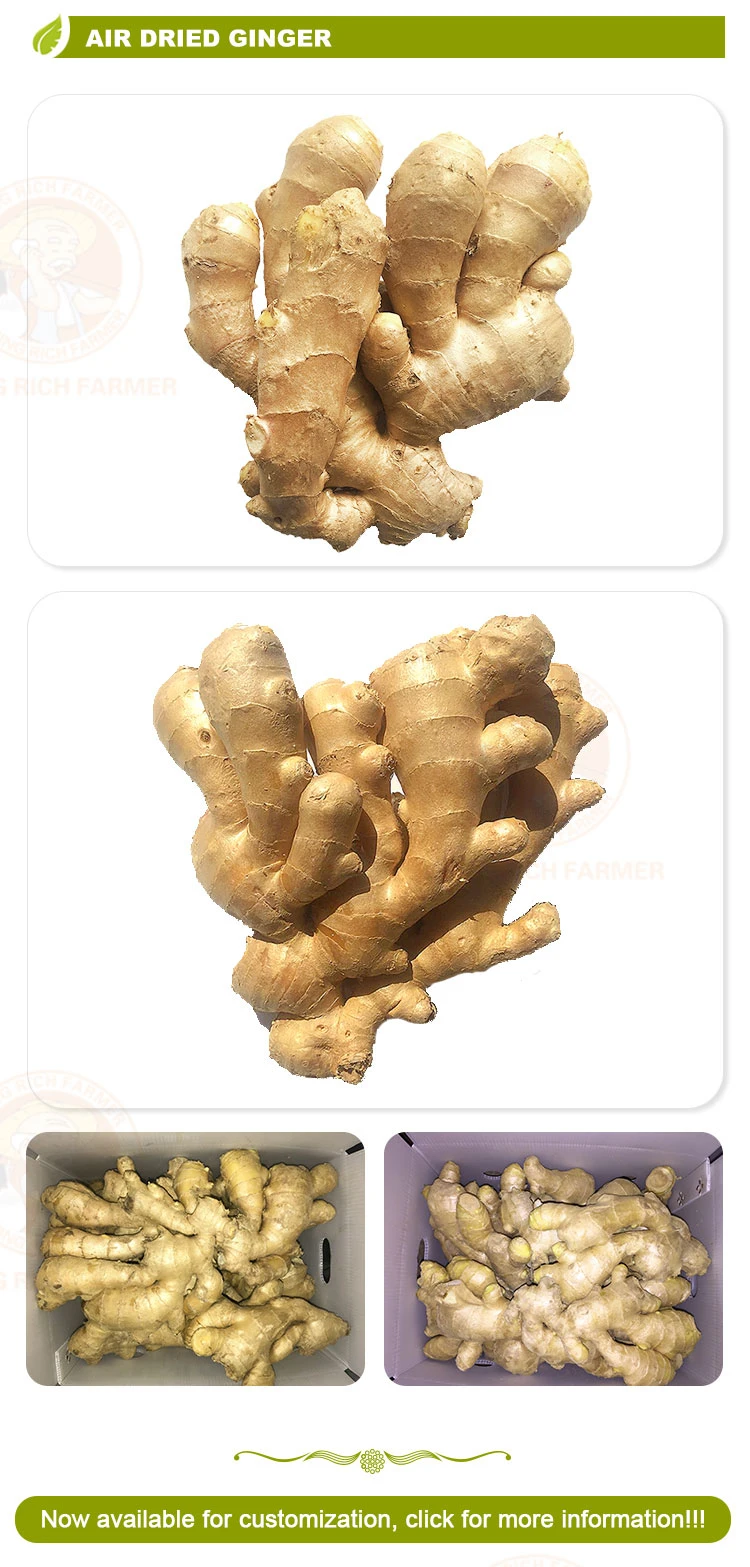 2022 New Crop High Quality Chinese Fresh Ginger for Sale