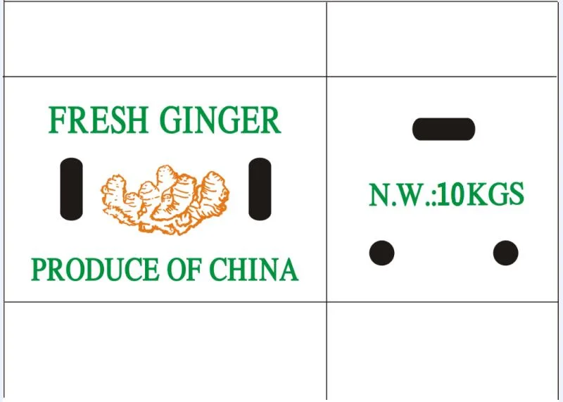 Fresh Ginger 150g up in Carton Box