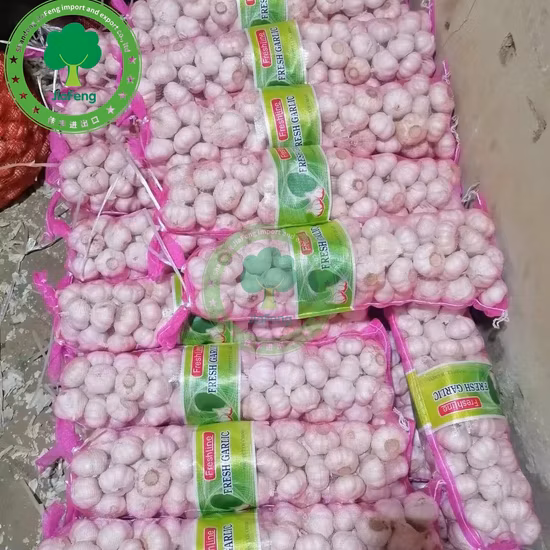 Nouvelle récolte de bonne qualité de l'ail blanc frais chinois