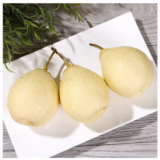 Carton de 15 kg 60 # 72 # 80 Poire Ya fraîche