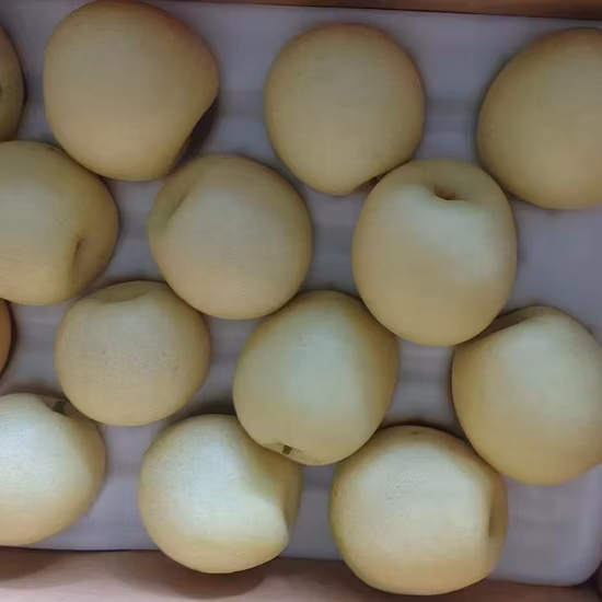 Poire Ya jaune fraîche chinoise