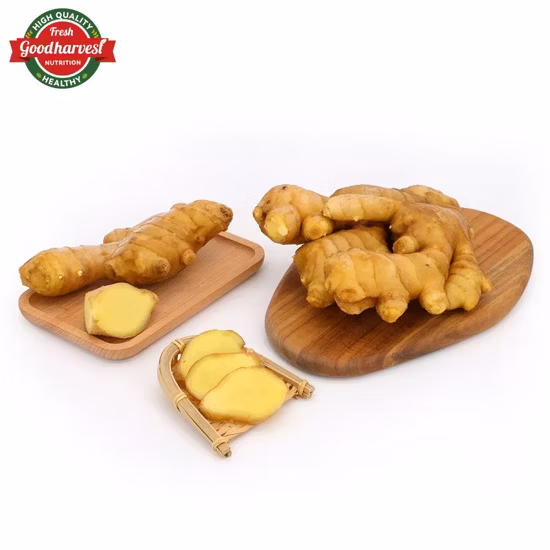 Gingembre frais d'aliments de santé pour l'agriculture chinoise avec certificat biologique Brc Smeta