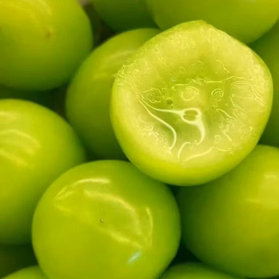 Délicieux Raisins Frais Prix Fruits Raisin Frais Biologique