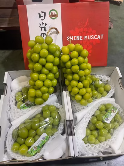 Kyoho naturel frais aux raisins sucrés élevés à haute teneur en sucre