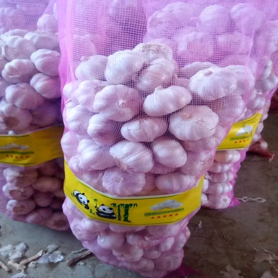 2020 Nouvelle récolte Ail chinois blanc rouge frais normal