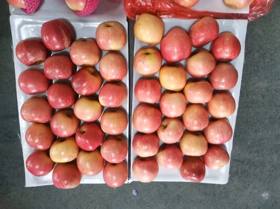 Fruit de pomme naturel frais FUJI rouge en vrac fruits de pommes fraîches de Chine