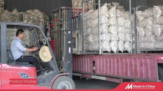 Nouvelle récolte chinoise Ail blanc frais normal/pur