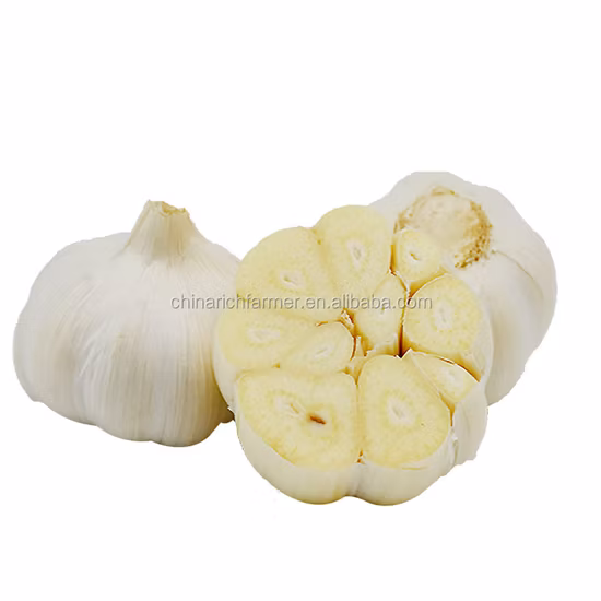 Ail blanc pur frais/ail blanc normal/ail blanc avec certificat SGS